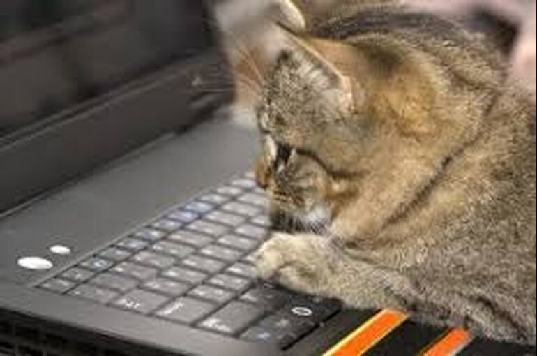 ねこPC